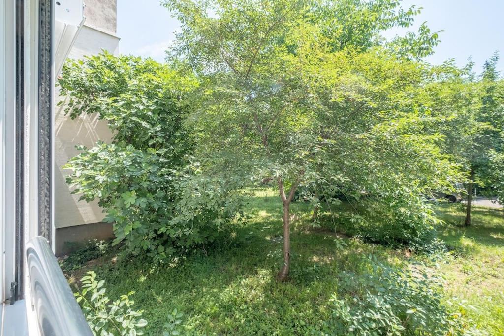 Top Location, Brand New 3 Bdrm Apt & Free Parking 소피아 외부 사진