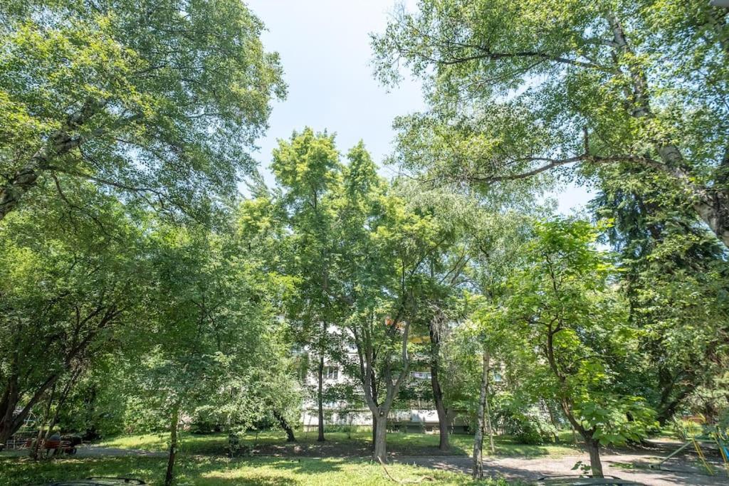 Top Location, Brand New 3 Bdrm Apt & Free Parking 소피아 외부 사진
